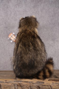 Guitar Raccoon SKU 3079 - Image 3