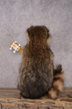 Guitar Raccoon SKU 3080 - Image 3