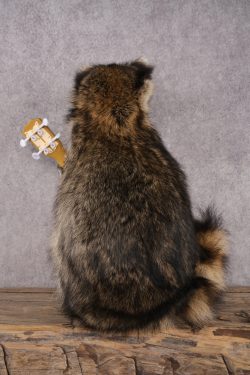 Guitar Raccoon SKU 3081 - Image 3