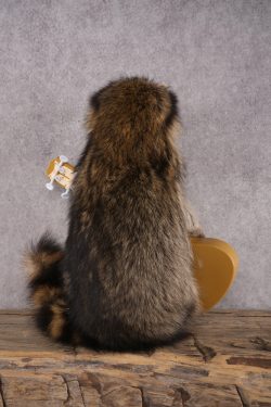 Guitar Raccoon SKU 3082 - Image 3