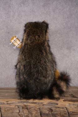 Guitar Raccoon SKU 3083 - Image 3