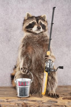 Fishing Raccoon SKU 3097