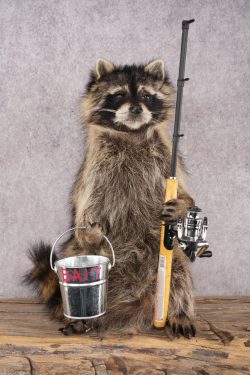 Fishing Raccoon SKU 3098