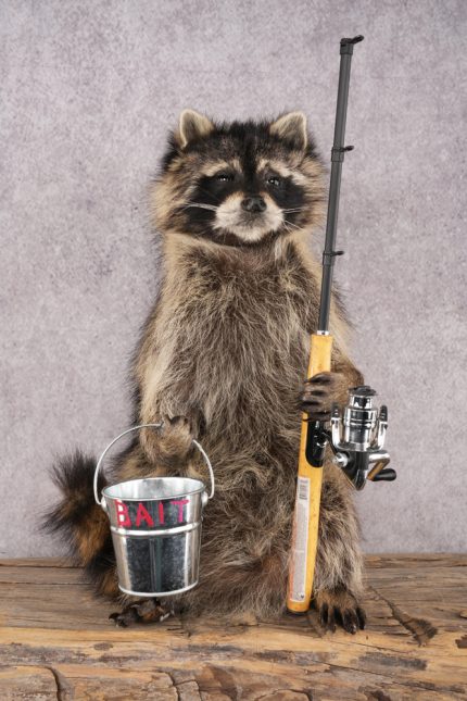 Fishing Raccoon SKU 3098