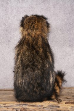 Fishing Raccoon SKU 3098 - Image 3