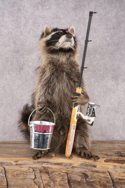 Fishing Raccoon SKU 3099