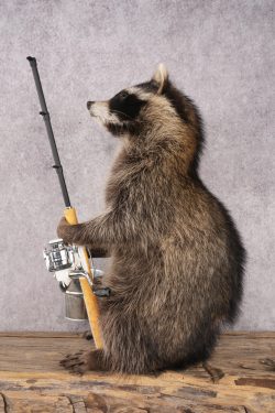 Fishing Raccoon SKU 3099 - Image 3