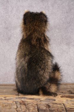 Fishing Raccoon SKU 3099 - Image 2