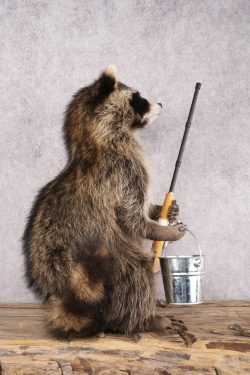 Fishing Raccoon SKU 3099 - Image 4