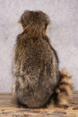 Harmonica Raccoon SKU 3135 - Image 3