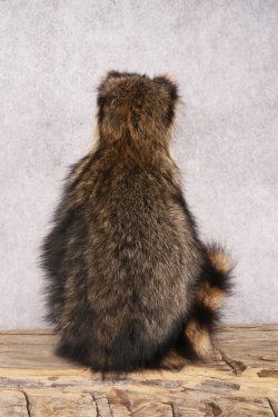 Harmonica Raccoon SKU 3136 - Image 3