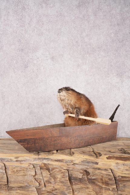 Muskrat In a Canoe SKU 3074