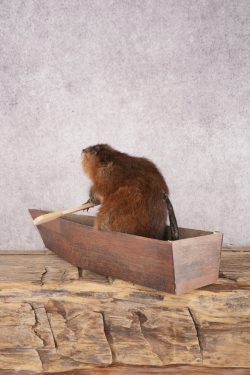 Muskrat In a Canoe SKU 3074 - Image 4