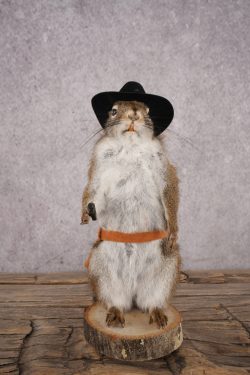 Cowboy Red Squirrel SKU 3126