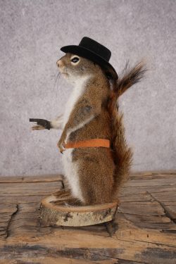 Cowboy Red Squirrel SKU 3126 - Image 4