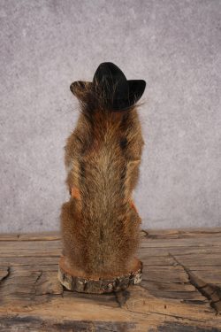 Cowboy Red Squirrel SKU 3126 - Image 3