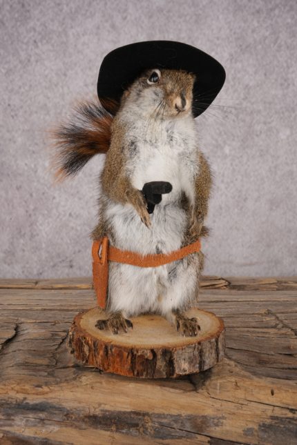 Cowboy Red Squirrel SKU 3123