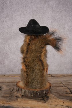 Cowboy Red Squirrel SKU 3123 - Image 3