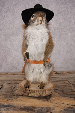 Cowboy Red Squirrel SKU 3127