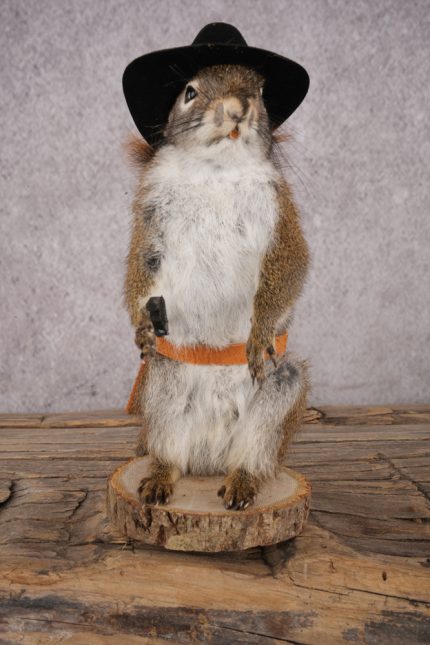 Cowboy Red Squirrel SKU 3127