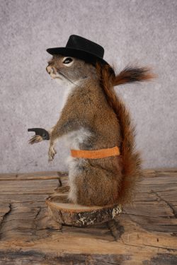 Cowboy Red Squirrel SKU 3127 - Image 4