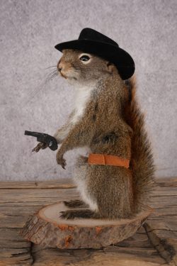 Cowboy Red Squirrel SKU 3128 - Image 4