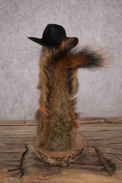 Cowboy Red Squirrel SKU 3128 - Image 3