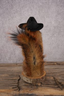 Cowboy Red Squirrel SKU 3125 - Image 3