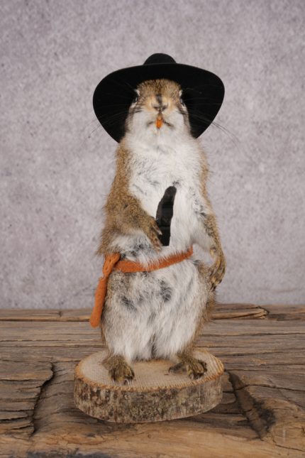 Cowboy Red Squirrel SKU 3124