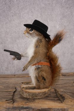 Cowboy Red Squirrel SKU 3124 - Image 4