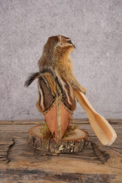 Chipmunk in a Canoe SKU 3103 - Image 2