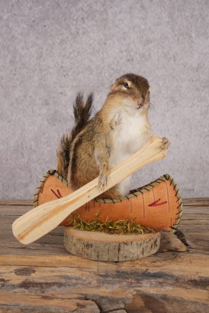 Chipmunk in a Canoe SKU 3104