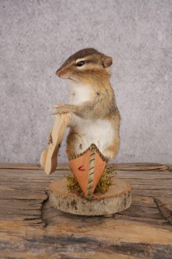 Chipmunk in a Canoe SKU 3104 - Image 4