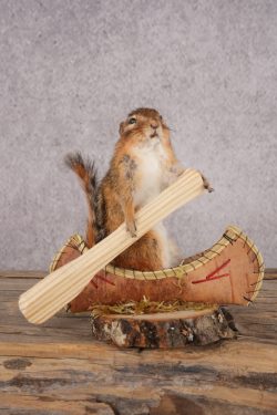 Chipmunk in a Canoe SKU 3105