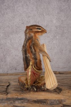 Chipmunk in a Canoe SKU 3105 - Image 2