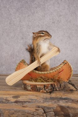 Chipmunk in a Canoe SKU 3106