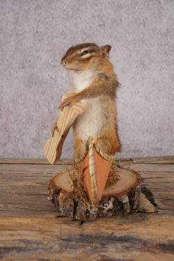Chipmunk in a Canoe SKU 3106 - Image 4