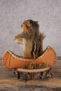 Chipmunk in a Canoe SKU 3106 - Image 3