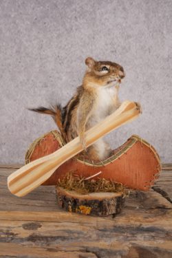Chipmunk in a Canoe SKU 3107