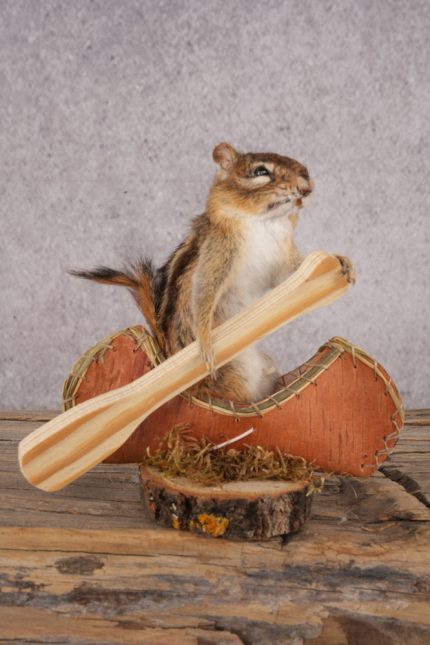 Chipmunk in a Canoe SKU 3107