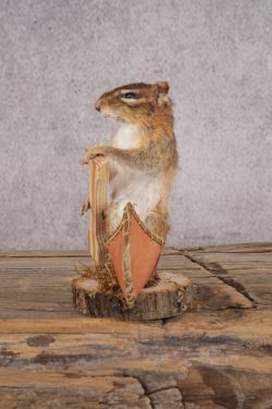 Chipmunk in a Canoe SKU 3107 - Image 4