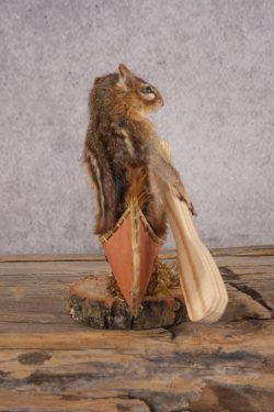 Chipmunk in a Canoe SKU 3107 - Image 2