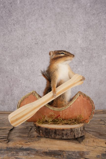 Chipmunk in a Canoe SKU 3108