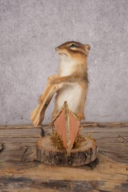 Chipmunk in a Canoe SKU 3108 - Image 4