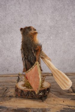 Chipmunk in a Canoe SKU 3108 - Image 2