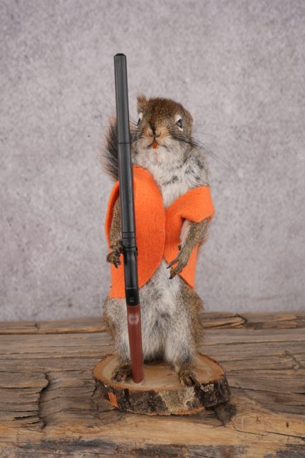 Hunting Red Squirrel SKU 3129