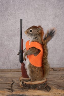 Hunting Red Squirrel SKU 3129 - Image 4