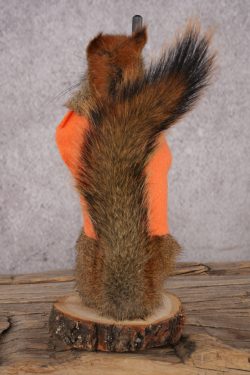 Hunting Red Squirrel SKU 3129 - Image 3