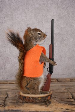 Hunting Red Squirrel SKU 3129 - Image 2