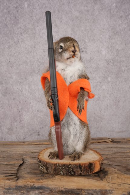 Hunting Red Squirrel SKU 3130